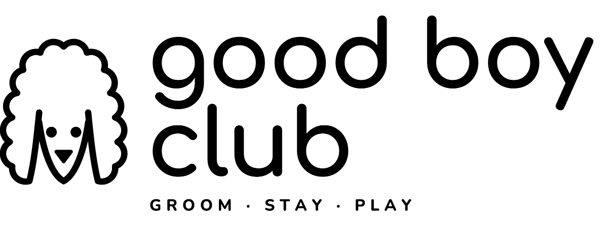 good boy club main logo, black
