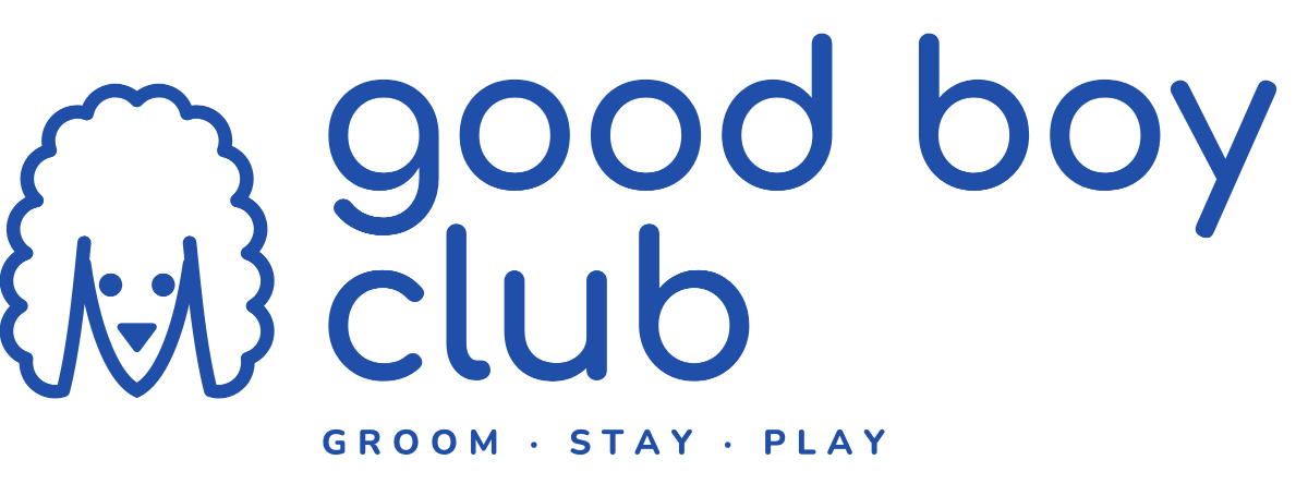 good boy club primary logo, cobalt