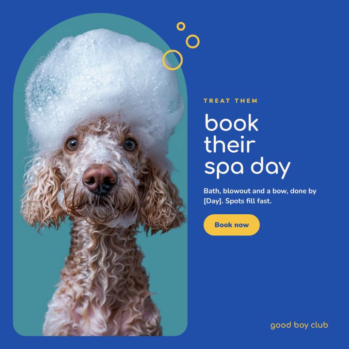 good boy club Instagram post: Book their spa day