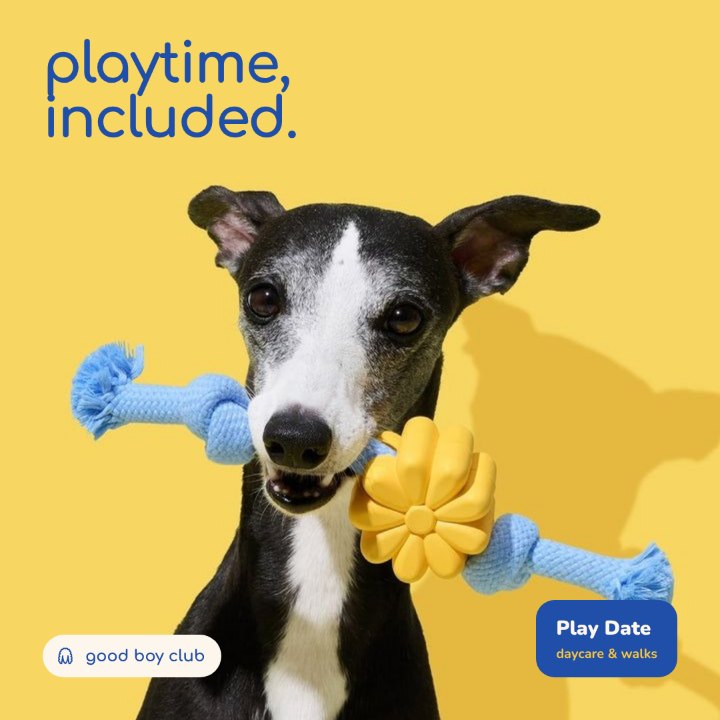 good boy club Instagram post: Playtime, included